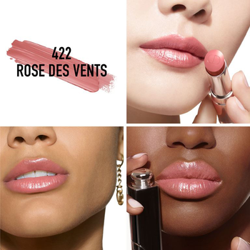 Помада Dior Addict Lipstick Barra De Labios 422 Rose des Vents 1un 3.2 г (3348901609821)