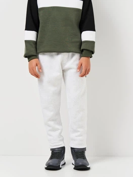 Детские теплые спортивные штаны-джогеры Minoti 15fleece 24 39533JNR 98-104 см Серые (5063025174588)