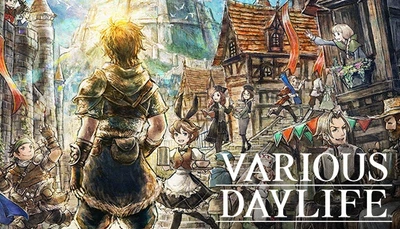 Игра Various Daylife для ПК (Ключ активации Steam)