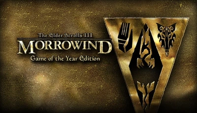 Игра The Elder Scrolls III: Morrowind GOTY для ПК (Ключ активации Steam)