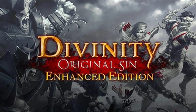 Игра Divinity: Original Sin - Enhanced Edition - Europe для ПК (Ключ активации GOG)