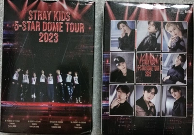 Карточки 55 штук в упаковке Stray kids стрей кидс к поп k pop lomo ломо арт 24