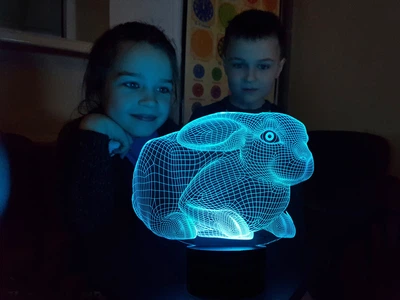 Змінна картинка для нічника-світильника 3D "Кролик 2" 3DTOYSLAMP 000261870