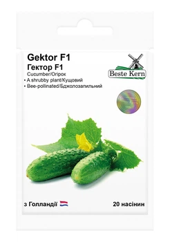 Семена огурца Гектор F1 20 шт, Nunhems Zaden, Голландия, Beste Kern