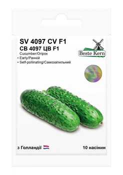 Семена огурца СВ 4097 F1, 10шт, Seminis, Голландия, Beste Kern