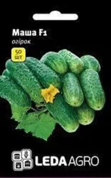 Насіння огірка Маша F1 ранній гібрид 50 шт LedaAgro