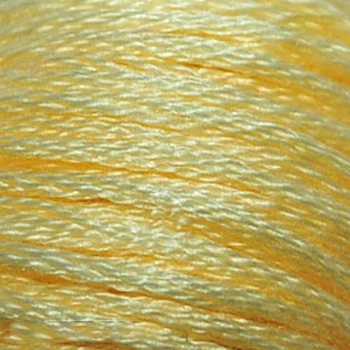 Мулине DMC 3078 Желтый золотой, оч.св., 8 м (DMC-006143)