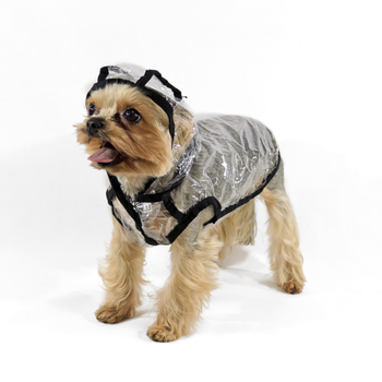 Lucky Pet Ветровка Дождик для породы Йорк Прозрачная L №2, 33 х 46 см