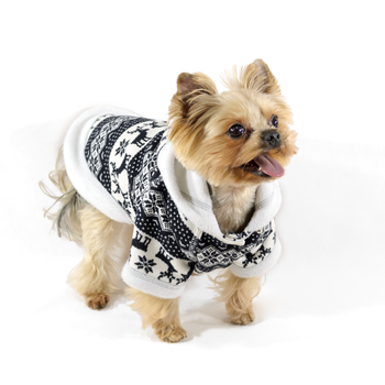 Lucky Pet Толстовка для породы Мопс Рубик M2 №1, 28 х 60 см