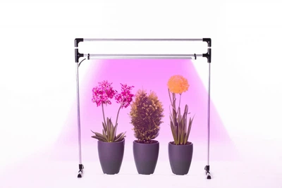 LED Лампа для растений DUO Bicolor на подоконник. Фито лампа для комнатных растений, рассады, цветов, орхидей, микрозелени.
