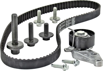 Ремкомплект грм Ford 1 672 143 (Вир-во INA) Ina (530014010)