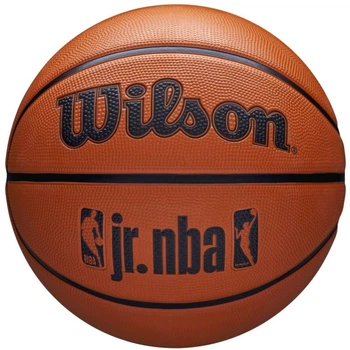 Мяч баскетбольный Wilson NBA Jr DRV Fam Logo Ball WZ3013001XB №4