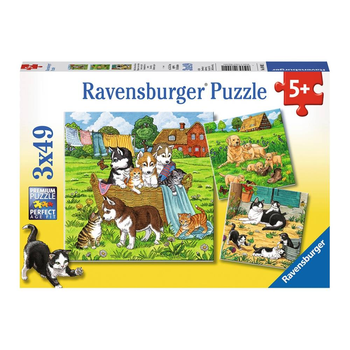 Zestaw puzzli Ravensburger Koty i psy 21 x 21 cm 3 x 49 elementów (4005556080021)