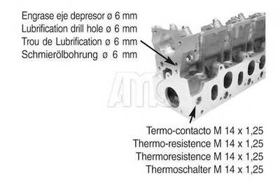 Головка блока цилиндров RENAULT KANGOO 1. 9 D AMC Filter (908098)