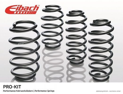 Пружины и рессоры EIBACH E10-20-040-01-22 BMW X3