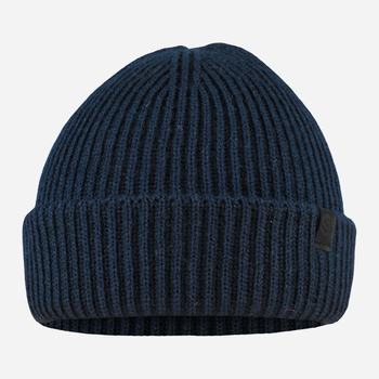 Czapka zimowa męska STING Hat 11H One Size Granatowa (5905999070346)