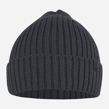 Czapka zimowa męska STING Hat 8H One Size Szara (5905999070391)