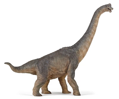 Динозавр Брахіозавр / Brachiosaurus Papo 55030