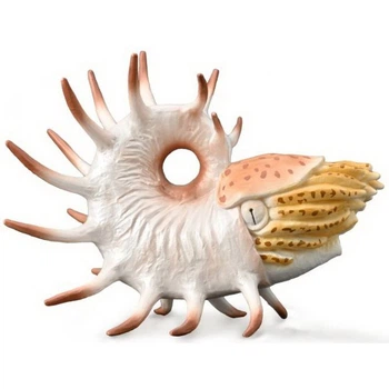Коопероцер Cooperoceras CollectA 88946
