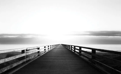 Флизелиновые фотообои фото 254x184 см Большой черно-белый пирс (3465V4)+клей