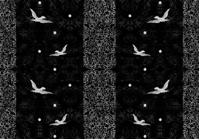 Флизелиновые фотообои 254x184 см Черно-белые птицы и узоры (2477V4)+клей