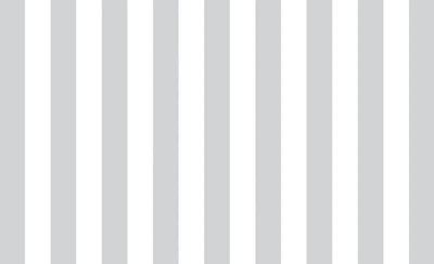 Популярные флизелиновые фотообои 254x184 см Серо-белые полосы (1723V4)+клей
