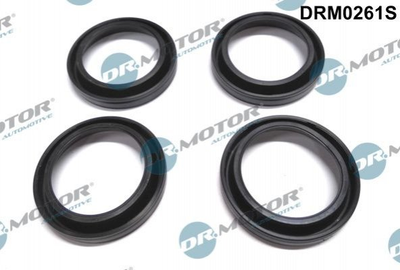 ПРОКЛАДКИ ВСЕ Dr.Motor DRM0261S Mazda 6 RF5C10508