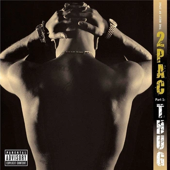 Виниловая пластинка 2Pac - The Best Of 2Pac - Part 1: Thug
