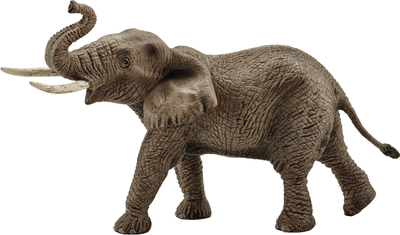 Іграшка-фігурка Schleich Африканський слон 10 см (4005086147621)