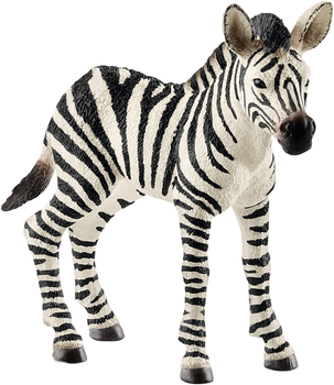 Іграшка-фігурка Schleich Wild Life Дитинча зебри (4055744020797)
