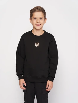 Дитячий теплий світшот Smile Time Golden Trident ZT26-03-1-1 104 см Чорний (st_2000000154251)