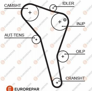 Ремінь ГРМ EUROREPAR 1633129180 Seat Cordoba, Ibiza; Ford Galaxy; Volkswagen Polo, Passat, Sharan, Caddy; Audi A4 028109119AA, 028109119S, 1145904