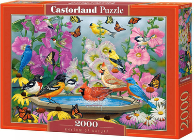 Puzzle Castor Ptaki Rytm natury 2000 elementów (5904438200818)