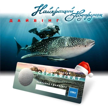 Подарочный сертификат от D2U club ДАЙВИНГ ДЛЯ БОЛЬШОЙ СЕМЬИ на 4 персоны от 8 до 70 лет