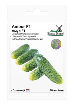 Семена огурца Амур F1, 10шт , Bejo, Голландия, Beste Kern