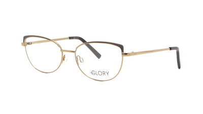 Оправа для окулярів GLORY 107 BROWN 51