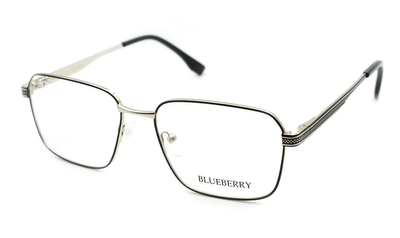 Оправа металева Blueberry 8649-C1