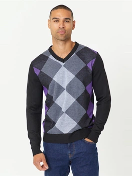 Пуловер мужской Pierre Cardin RGYL KNTTD 31840369 М Серый/Фиолетовый/Черный