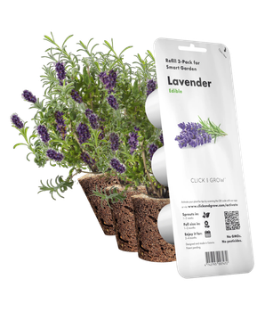 Wkład zamienny Click&Grow Lawenda 3 szt (4742793007472)