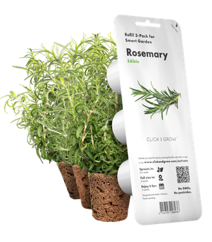 Wkład zamienny Click&Grow Rozmaryn 3 szt (4742793008936)