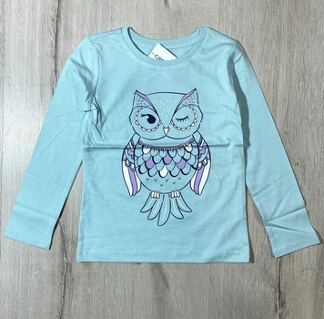 Реглан для девочки Carters 293G248 110 см Бирюзовый