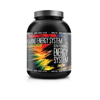 Предтренировочный комплекс Power Pro Amino Energy System 500 г