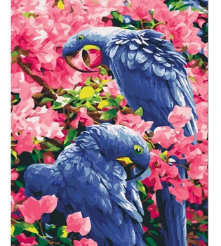 Malowanie po numerach Symag Ptaki w kwiatach 40 x 50 cm (5904433381833)