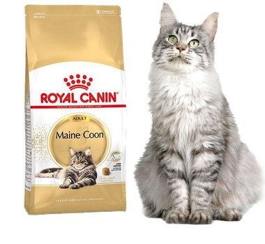 Sucha karma Royal Canin Maine Coon Adult dla kotów dorosłych rasy Maine Coon 400 g (3182550710633)