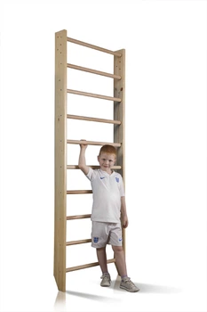 Шведська стінка Sportbaby Sport 0-220