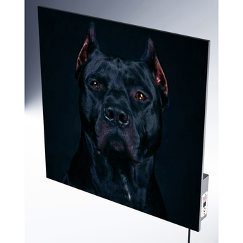 Керамическая панель Smart Install Model 37 Dog (60 x 60 см), с терморегулятором в нержавеющем корпусе