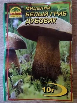 Міцелій гриба Білий гриб Дубовик зерно 10 г