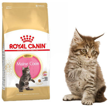 Сухий корм Royal Canin Maine Coon Kitten для кошенят породи Мейн Кун 400 г (3182550770941)