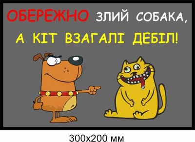 табличка у дворі злий пес 300х200 мм д-8907
