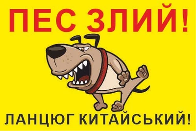 Табличка Обережно злий пес 300х200мм д-8785